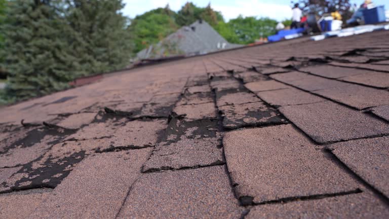 Best Sheet Metal Roofing  in Plainfield Village, CT