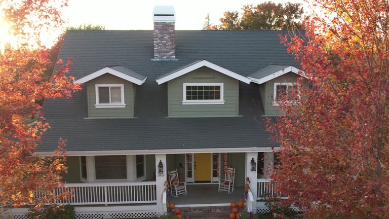 Best Roof Moss and Algae Removal  in Plainfield Village, CT