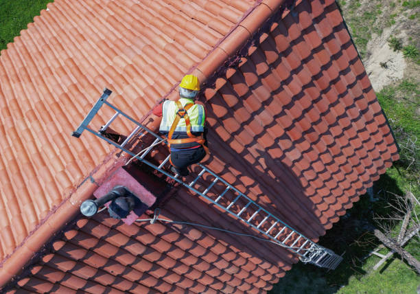 Best Roof Maintenance and Cleaning  in Plainfield Village, CT